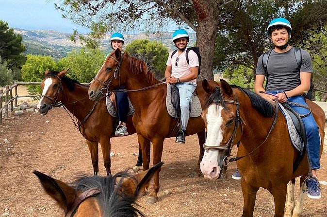 Private Horse Ride Adventure in Modica with Instructor - The rider experience: from halt and walk to trotting (if you want)