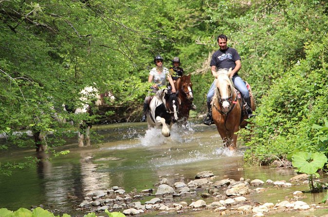 Private Horse Ride Adventure in Modica with Instructor - Horses and the farm setup: calm animals and a well-run operation