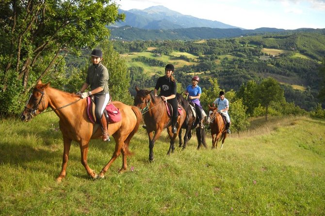 Private Horseback Riding Tour on Etna Area + Traditional Lunch - Quick hits