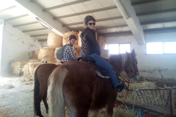 Private Horseback Riding Tour on Etna Area + Traditional Lunch - The 1-Hour Horseback Ride in Etna Park Country