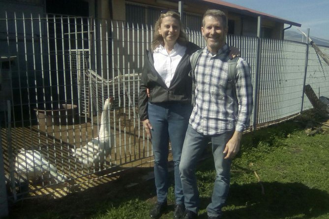 Private Horseback Riding Tour on Etna Area + Traditional Lunch - The Sicilian Lunch at the Farm: What You’ll Actually Eat