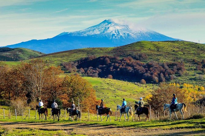 Private Horseback Riding Tour on Etna Area + Traditional Lunch - Practical Tips for a Smoother Etna Horse Day