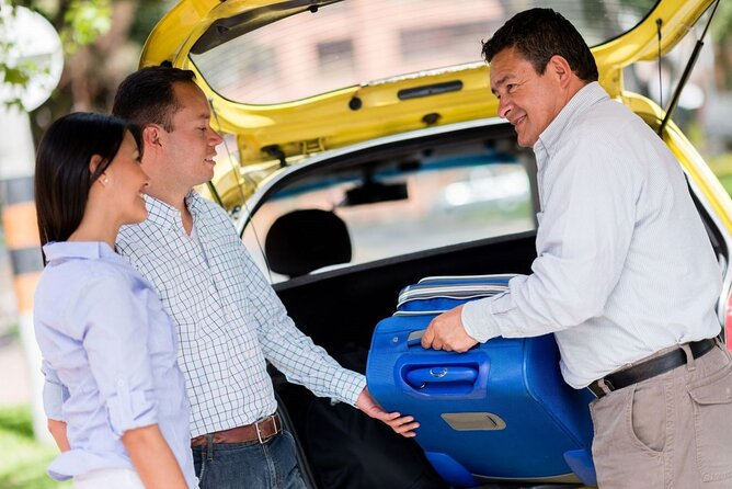 Private One-way Transfer From Catania Airport To Catania - Inside the car: air-conditioning, comfort, and luggage help