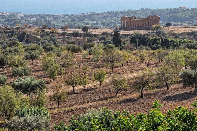 Private Tour Agrigento Valley of the Temples Park and Scala Dei Turchi - Lunch in the middle: letting the driver keep your timeline on track