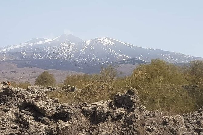 Private Tour from Catania to Etna Naxos and Taormina - What’s included vs what you’ll pay extra