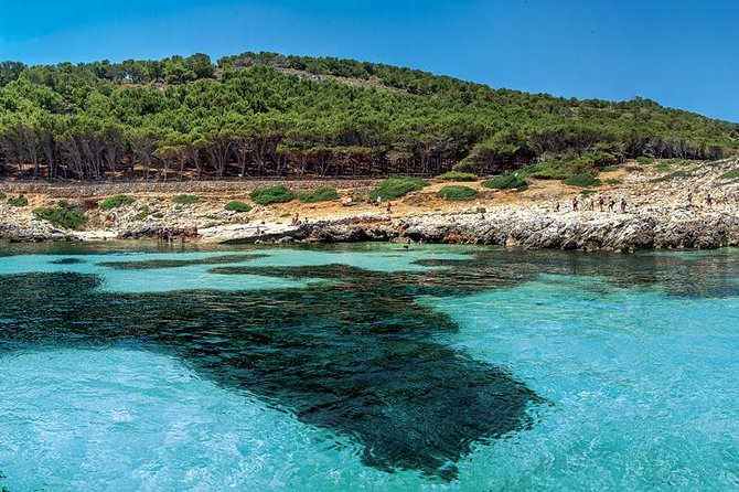 Private Tour Half Day Boat Trip in Favignana from Trapani - Favignana’s Old Tonnara Area: Walkable Maritime Village Time