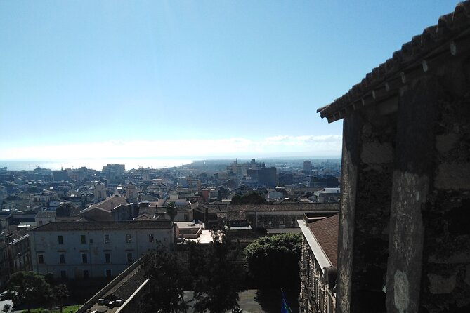 Private tour of Catania and the Riviera of the Cyclops - Practical Tips for a Smooth 7–8 Hour Tour