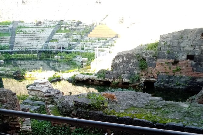 Private tour of Catania and the Riviera of the Cyclops - Centro Storico Di Catania: Where the Elephant, the Lava, and the River Meet