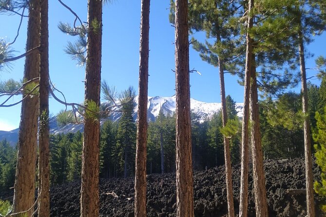 Private tour of Etna with food and wine tasting in the cellar - A 9:00 AM Start That Actually Helps: Getting Up to Etna Early