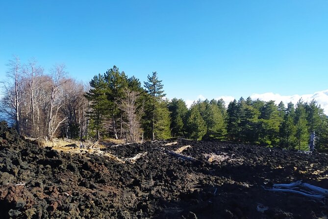 Private tour of Etna with food and wine tasting in the cellar - Who This Etna Experience Fits Best (And Who Should Rethink It)