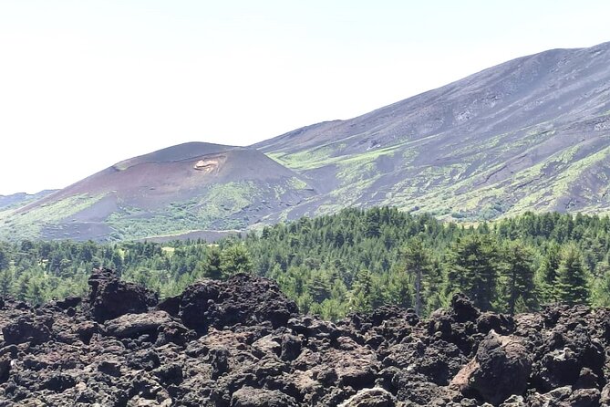 Private tour of Etna with food and wine tasting in the cellar - The Optional Lava Walk: Best for People Who Want to Feel the Planet