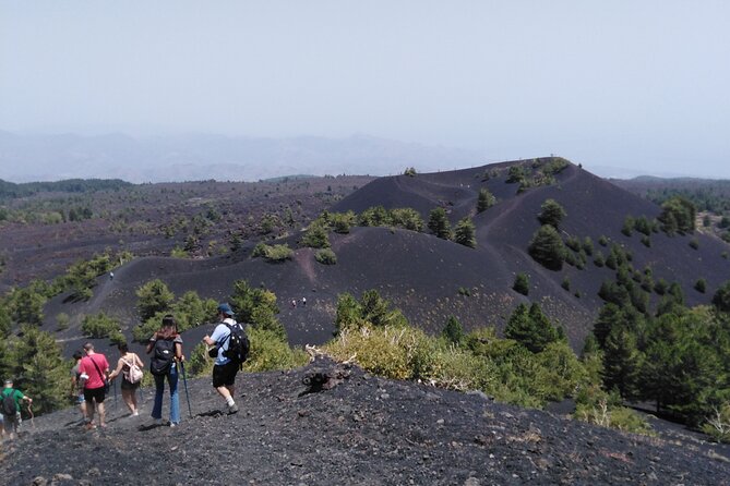 private tour of etna with wine tasting and lunch in the cellar - A Private Etna-And-Cellar Day From Taormina