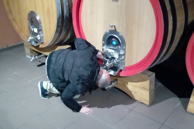 private tour of etna with wine tasting and lunch in the cellar - Gambino Winery: Etna DOC Wine Tasting, Lunch, and the Cellar Feel