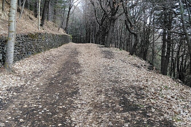 Private tour of Mount Etna and the Alcantara Gorges - Mount Etna from the sea toward 2000m