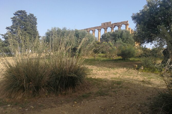 Private Tour to Segesta, Erice and Wine Tasting in Marsala - Segesta’s Ancient Theater and Doric Temple: the main event