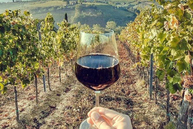 Private visit to the cellars of Etna with wine tasting - Lunch and tasting: where the experience gets real