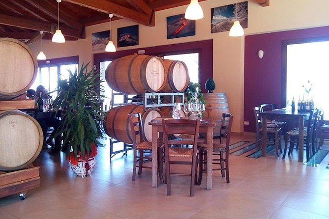 Private visit to the cellars of Etna with wine tasting - Guide impact: why Dan and Roberto come up