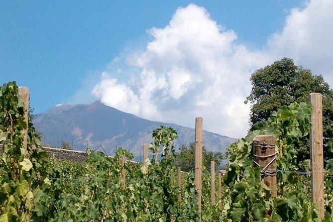 Private visit to the cellars of Etna with wine tasting - Pickup timing: the one detail that controls your whole day