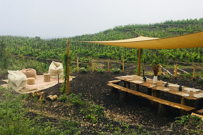 Private Wine and Food Tasting Immersed in Nature in Milo - Key points to know before you go