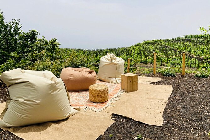 Private Wine and Food Tasting Immersed in Nature in Milo - What Kind of Person Should Book This?