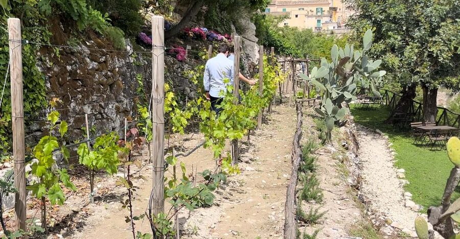 Radici: IImmerse yourself in the heady scents of our garden - Key highlights worth your attention