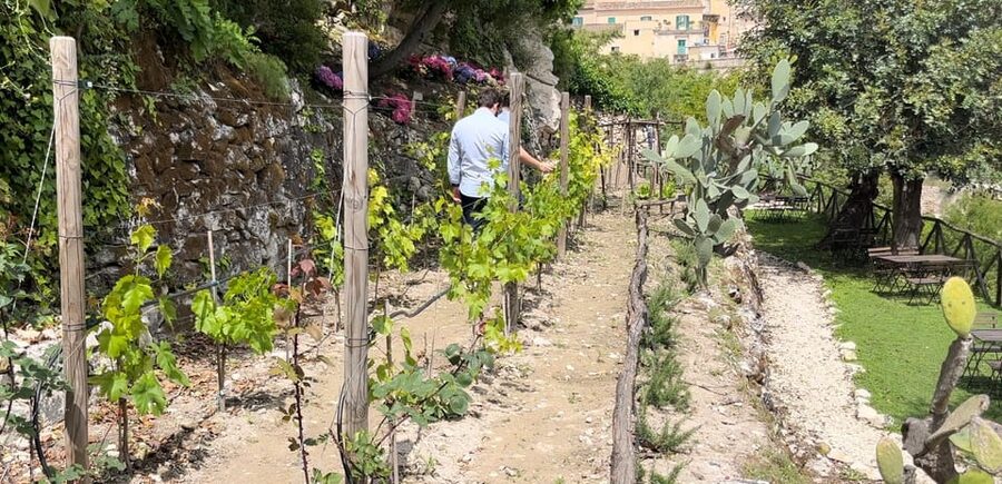 Radici: IImmerse yourself in the heady scents of our garden - Ragusa Ibla’s aromatic garden walk: why it feels special