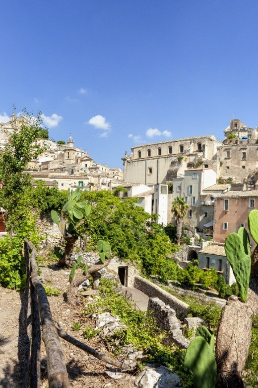 Radici: IImmerse yourself in the heady scents of our garden - Price and value: is $17 a good deal?