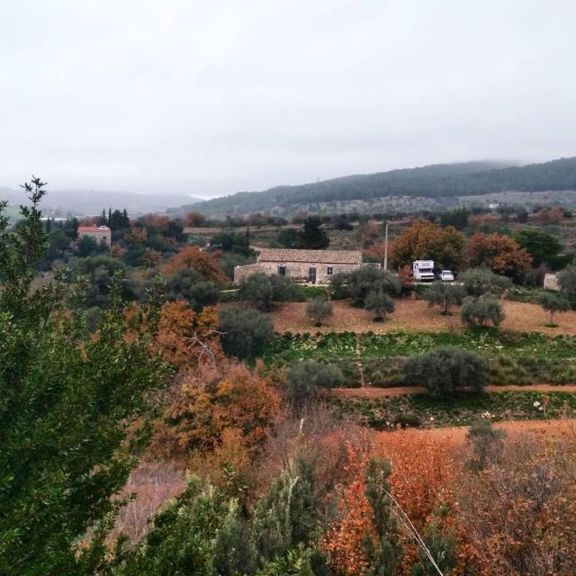 Ragusa Countryside Home Cooking Class & Meal - Should you book? My decision guide