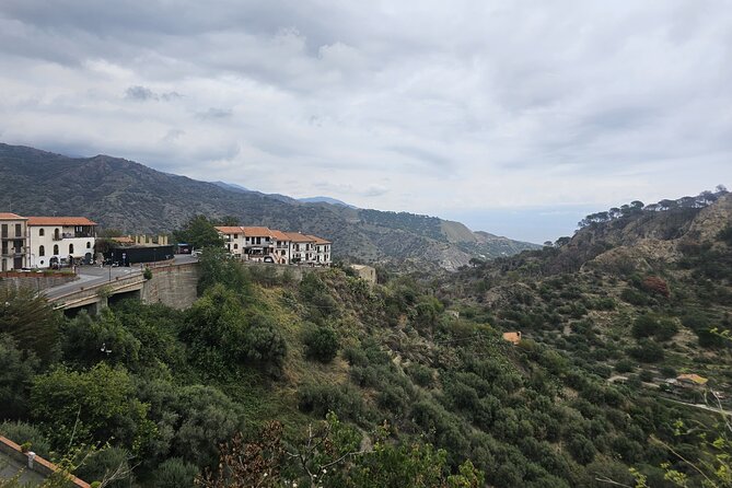 Research Your Ancestors in Sicily from Cruise Terminal of Messina - Optional stops: food, artisan shops, and family-run wineries