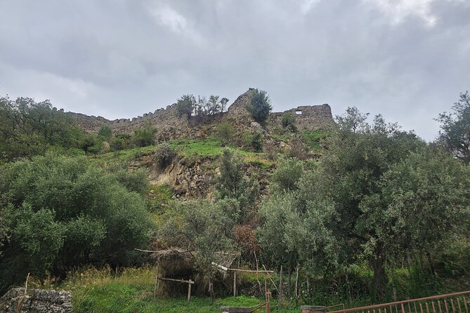 Research Your Ancestors in Sicily from Cruise Terminal of Messina - Price and value: $1,201.52 for up to 8 people