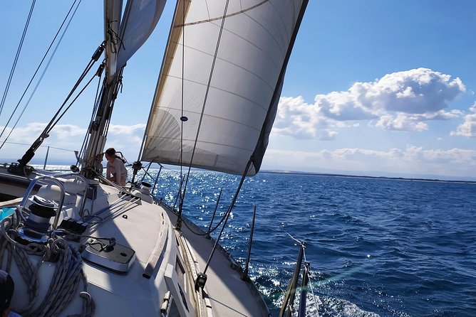 Sailing tour at sunset in catania - Price and value: what $75.24 buys you