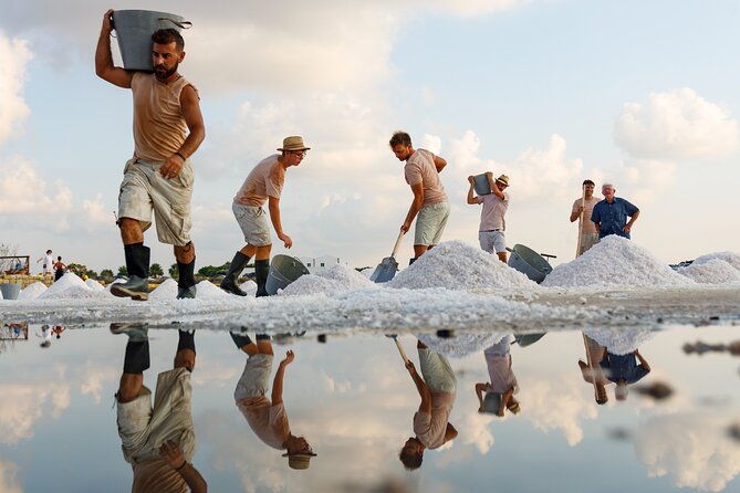 Saline Culcasi Full Immersion : From the Museum to the Salt Collection - Key highlights