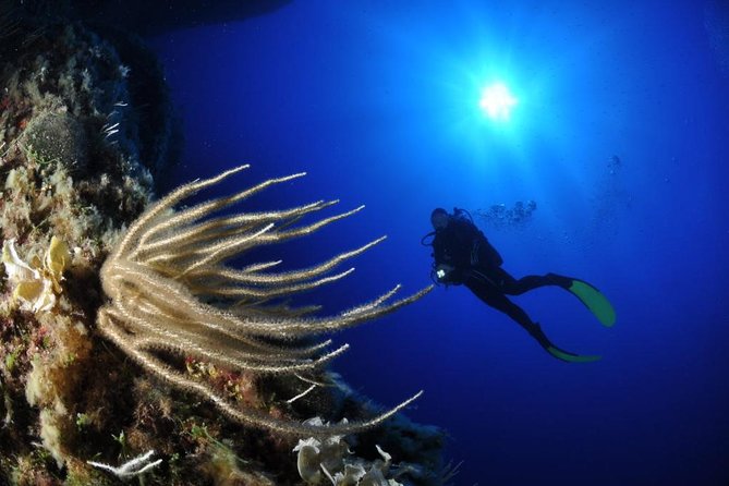 Scuba Diving Experience - Key things I’d circle before you go