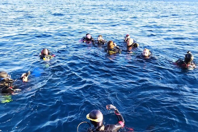 Scuba Diving Experience - English support and communication on the water