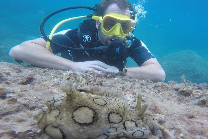 Scuba Diving Experience in Taormina - Small Group Limits and Buddy Teams: Why It Feels Managed