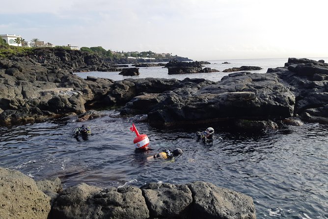 Scuba Experience - A PADI-led try-scuba near Catania (up to 5 meters)