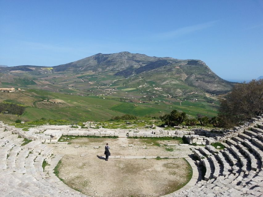 Segesta and Selinunte full day tour from Trapani - Trapani pickup and the air-conditioned van reality