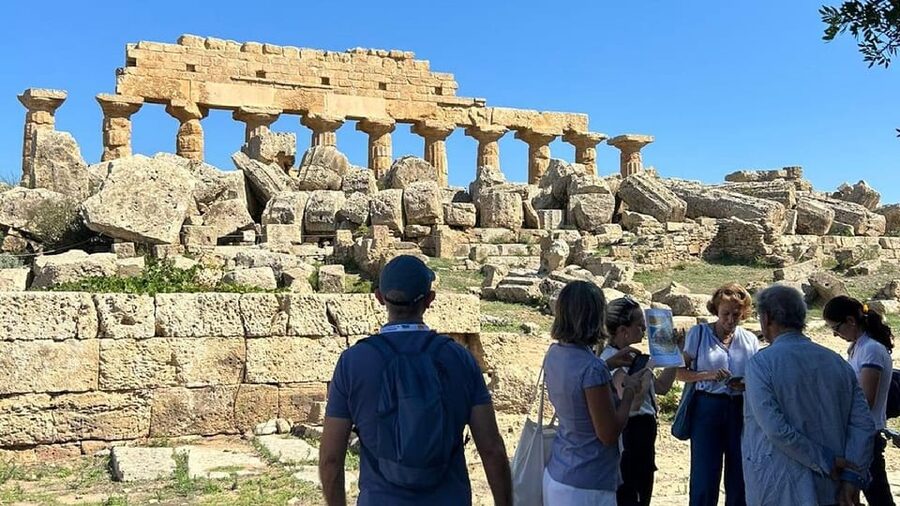 Segesta and Selinunte full day tour from Trapani - Price and value for a group up to 4