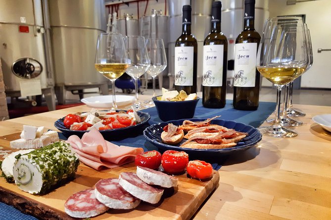 Sensory tasting with organic wines - Sensory wine tasting at Cantina Quattrocieli: where the aromas get practical