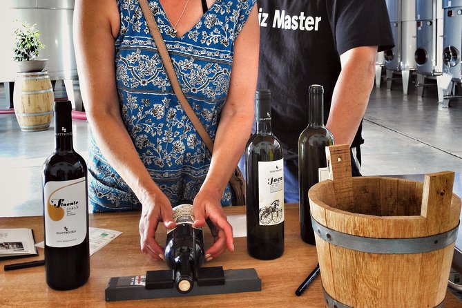 Sensory tasting with organic wines - Lunch in the vineyard center: Sicilian courses that don’t feel like filler