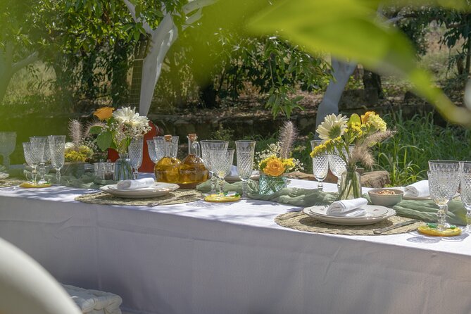 Sicilian Picnic in a Country House - Why this Sicilian picnic feels different from a regular tour meal