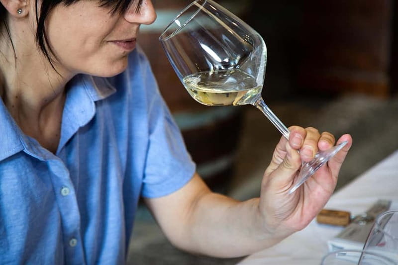 Sicilian Soul: Winery Tour, Wine & Food Tasting in Catania - How to get the most out of your tasting (without overthinking)