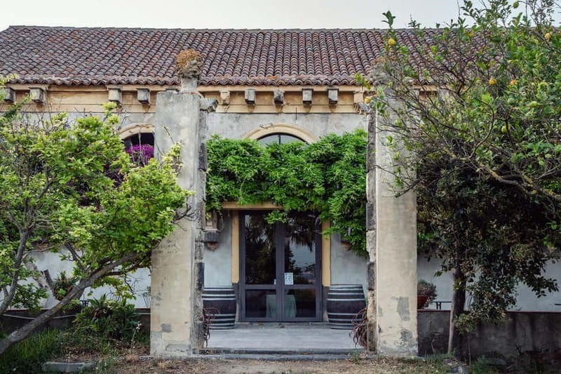 Sicilian Soul: Winery Tour, Wine & Food Tasting in Catania - Your wine tasting: three pours, paced for real comparison