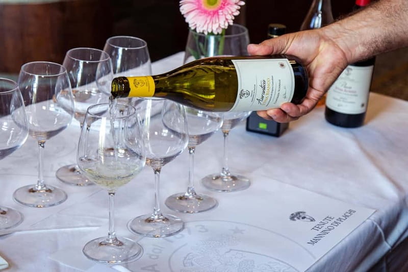 Sicilian Soul: Winery Tour, Wine & Food Tasting in Catania - The role of the guide: why it changes the whole experience