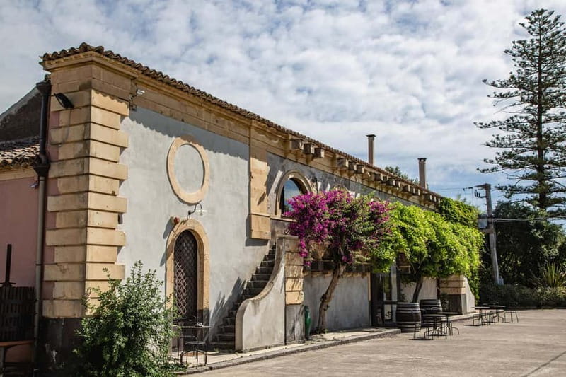 Sicilian Soul: Winery Tour, Wine & Food Tasting in Catania - The palmento tour: stepping into Sicily’s old wine world