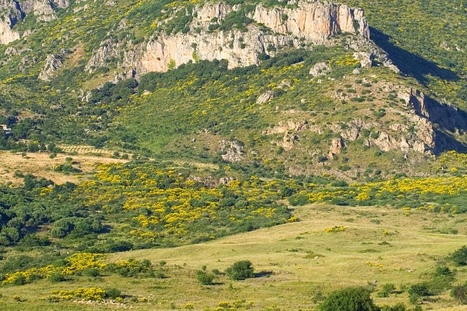 Sicilian Villages & Ricotta Tasting - including Lunch from Cefalu - Why Madonie Works as a Cefalù Day Trip