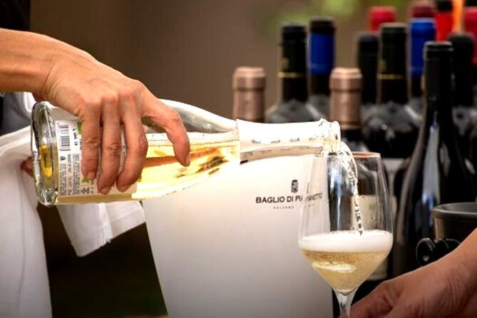 Sicilian Winery Tour with Wine Tasting from Palermo - Pickup, comfort, and a private setup that feels worth it