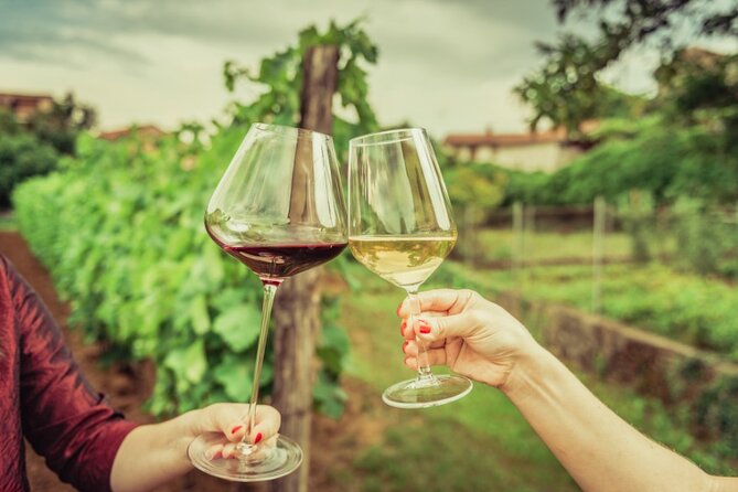 Sicilian Winery Tour with Wine Tasting from Palermo - Price and value: what $216.74 buys you for a half-day wine plan