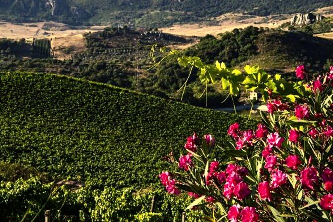 Sicilian Winery Tour with Wine Tasting from Palermo - FAQ