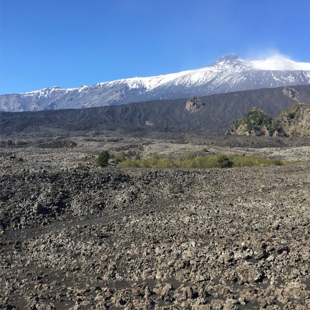 Sicily: Etna Volcano & Taormina Tour - Who should book this Etna and Taormina tour from Palermo?